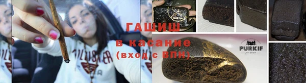 индика Абинск