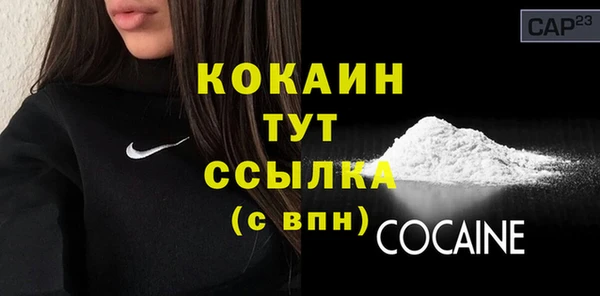 индика Абинск