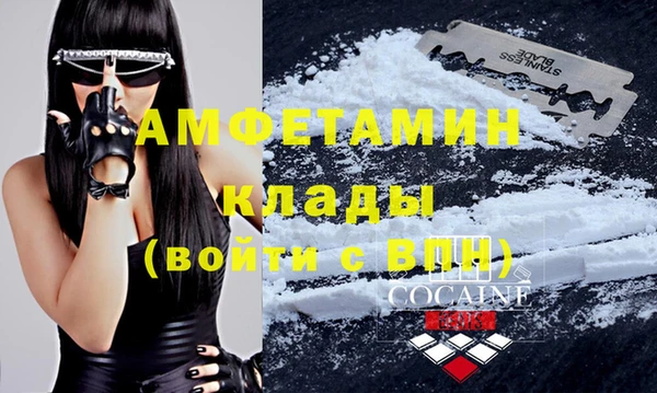 стафф Кулебаки