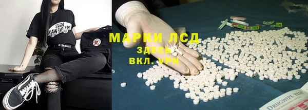индика Абинск