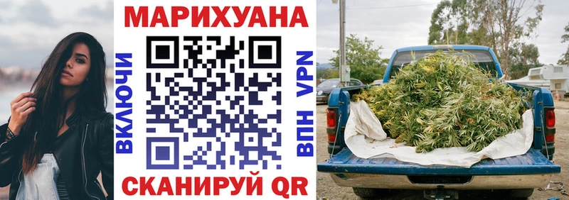Конопля OG Kush  закладки  Великий Новгород 